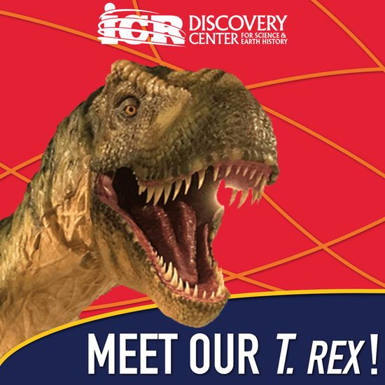 Sketchy_raptor's tweet photo. So I was watching @FoldableHuman's excellent "Mantracks" video and was struck by something. There is a shot of a T. rex animatronic at the ICR Discovery Center for Science and Earth History, a Creatonist Museum. I Googled it, as it struck me as looking remarkably familiar...(1/3) https://t.co/sbINGnUPzd