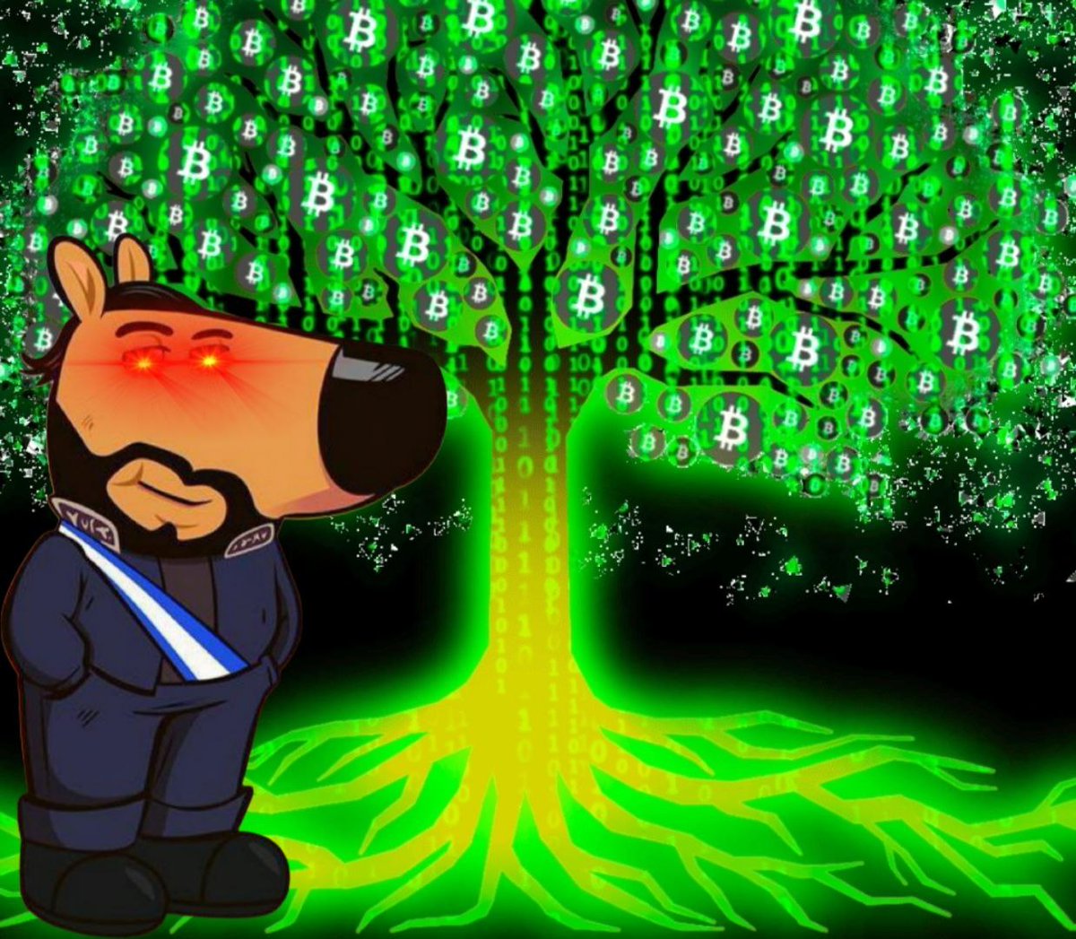 bukele_sol's tweet photo. Let me tell you $BUKELE is BACK

@nayibbukele has accumulated $BTC around $35k which makes him a living legend https://t.co/SWLpzvi0vw