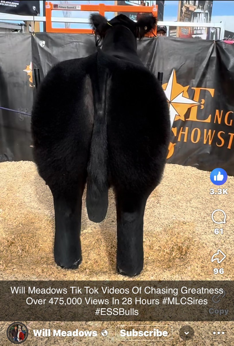 mattlautner's tweet photo. Will Meadows Tik Tok Videos Of Chasing Greatness Over 475,000 Views In 28 Hours #MLCSires #ESSBulls https://t.co/MeZybZNG6D