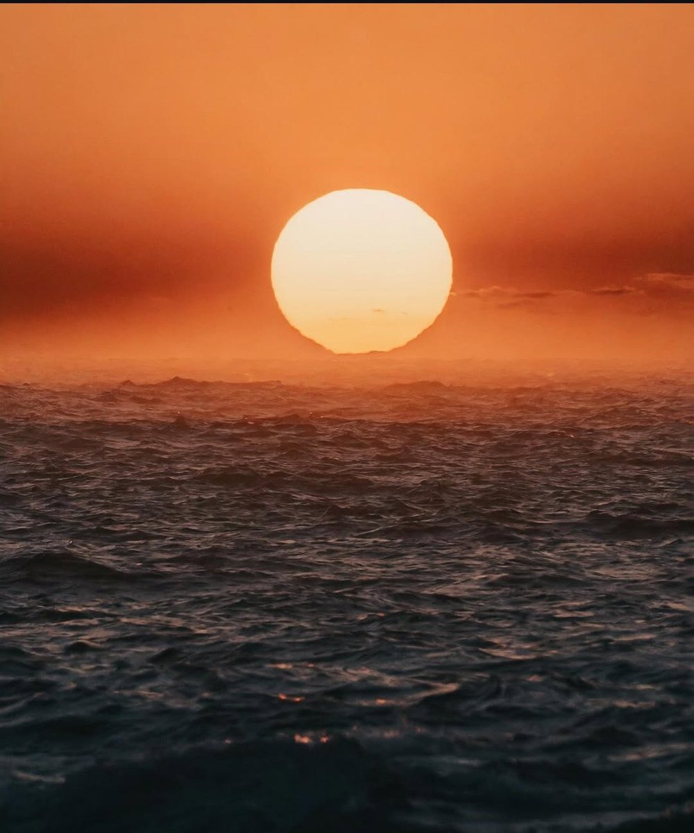 Angel_InTheSoul's tweet photo. #amazingsunset 🧡🧡🧡🧡 https://t.co/8z42AH3YL5
