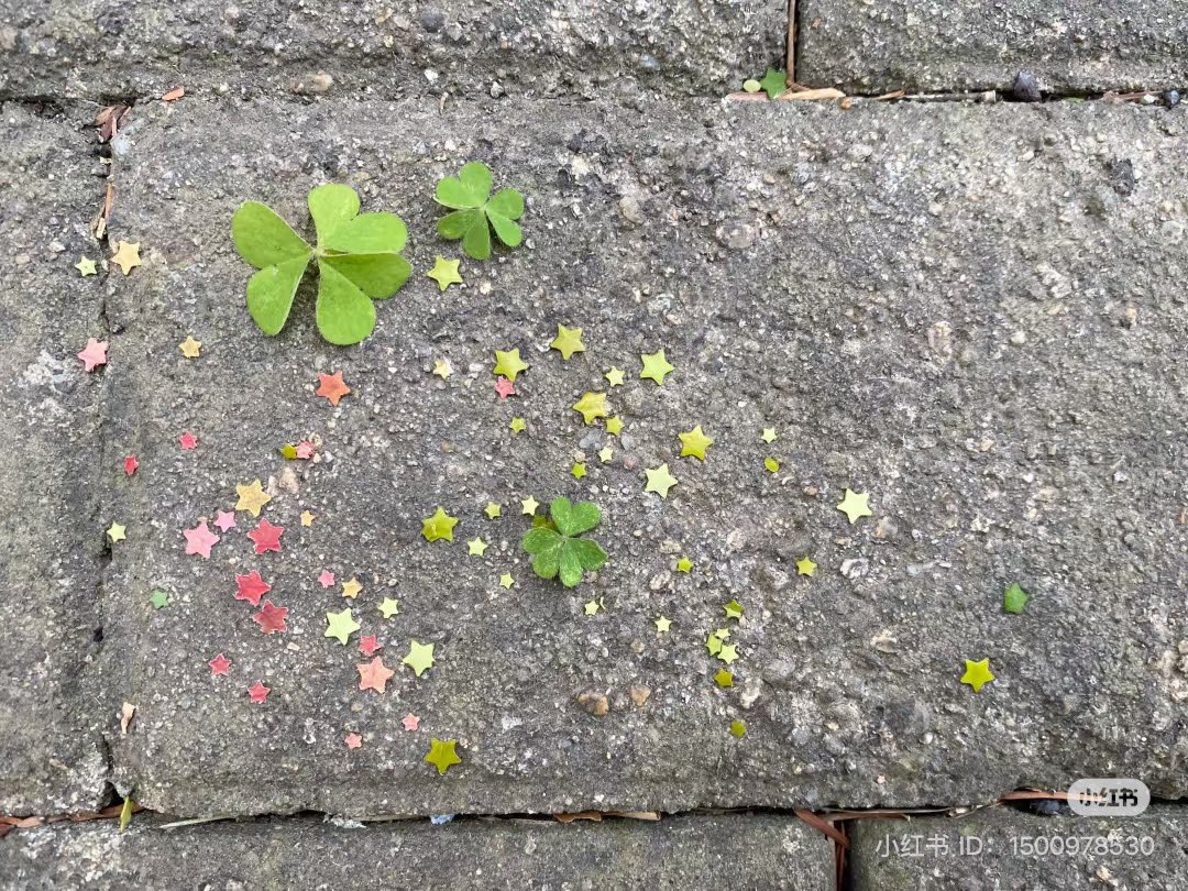 heartzjpg's tweet image. 