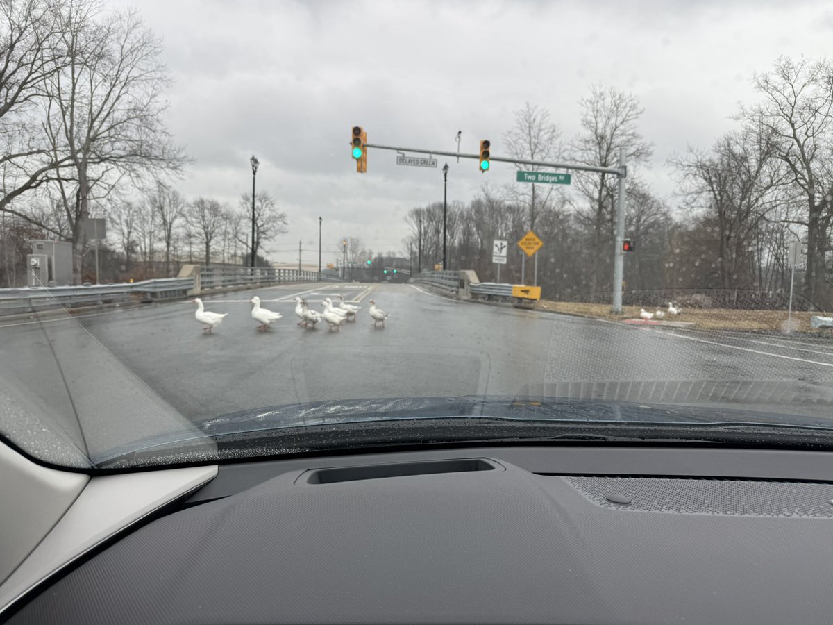 There was a bit of a traffic jam today 😅