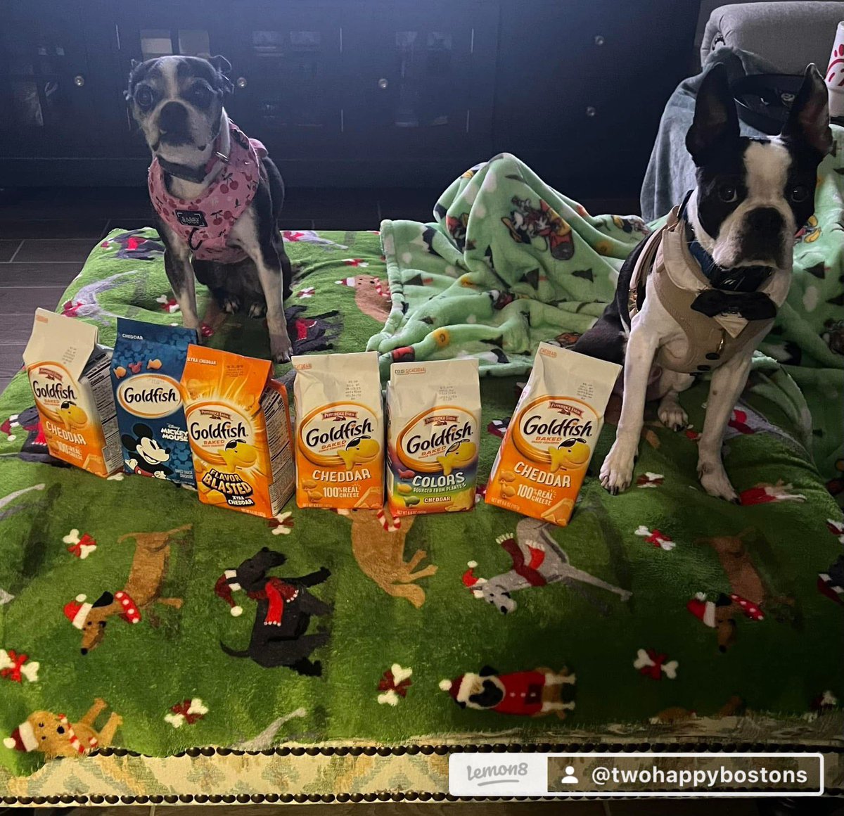 2happybostons's tweet photo. Grammie &amp; Pop-Pop gaved us $10 for Christmas when we was visiting thems last month.  Grammie said hers wanted us to get some goldfishie crackers with it because hers was too sick to go to the store to get thems for us.  Welp, mommy gotted ours goldfishies for us today BOGO https://t.co/ZZyAQw3eCy