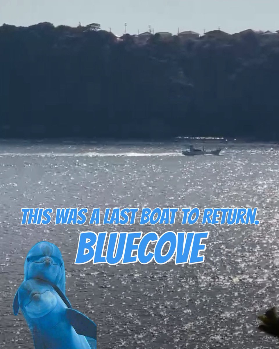 mamimoe1's tweet photo. #BlueCove 💙
#EmptyHanded 🐬🐳
#太地
@WakayamaPref
@MAFF_JAPAN
Jan,19 2025 Sunday https://t.co/PPLNqiFKoF