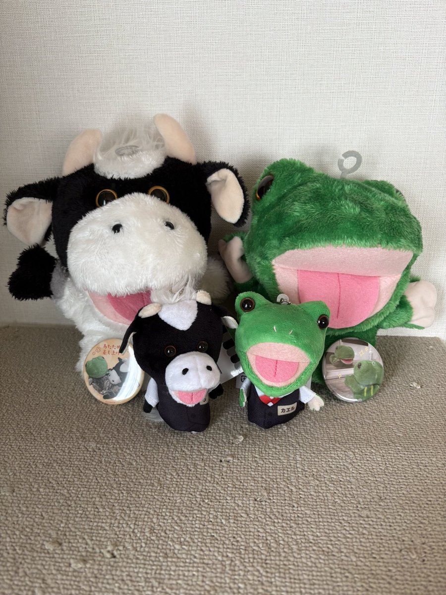 Nory0412's tweet photo. 昨日無事にお迎えすることができました！
やったー😆

#パペストア#マルイシティ横浜 https://t.co/dPyNSrKxPJ