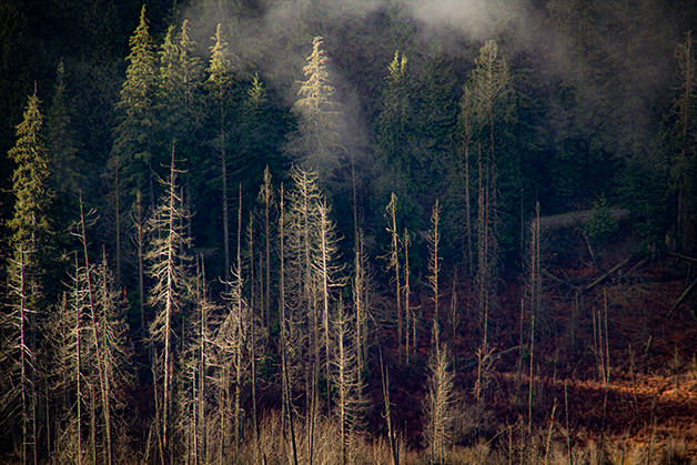 Rodney's Stories, Ideas, Reflections and Stuff open.substack.com/pub/rodjanz1/p…