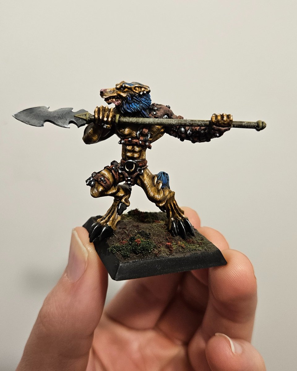 Starting Ashan'Tyr, of the Wolves of Yillia from Confrontation.  I'm gonna hit her and the rest of the Wolves with a fur texture and my first real attempts at NMM.  Third pic is my first test model

#minipainting