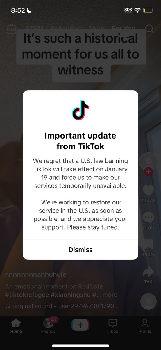 lively alt tweet media