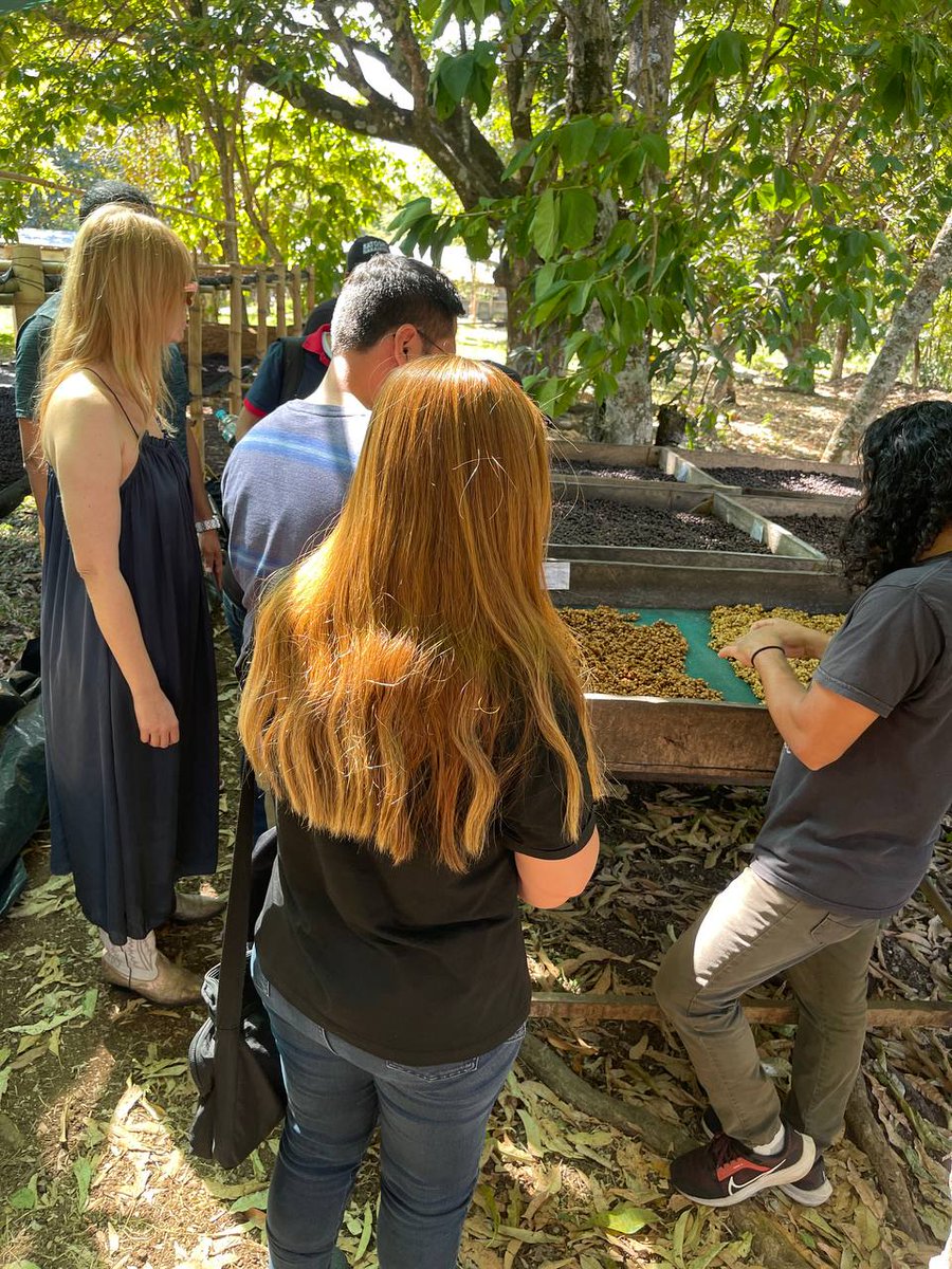 Torogoz Dev 🇸🇻 tweet media