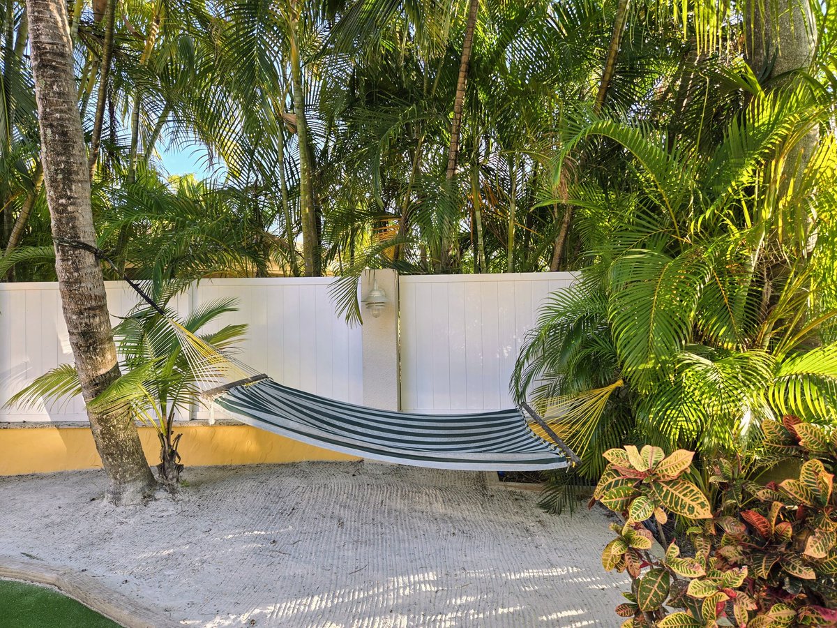 winters in the tropics