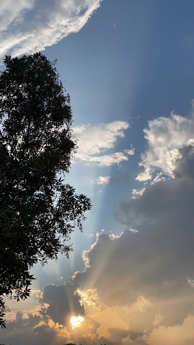 صباح الخير..تصويري🖤📸.