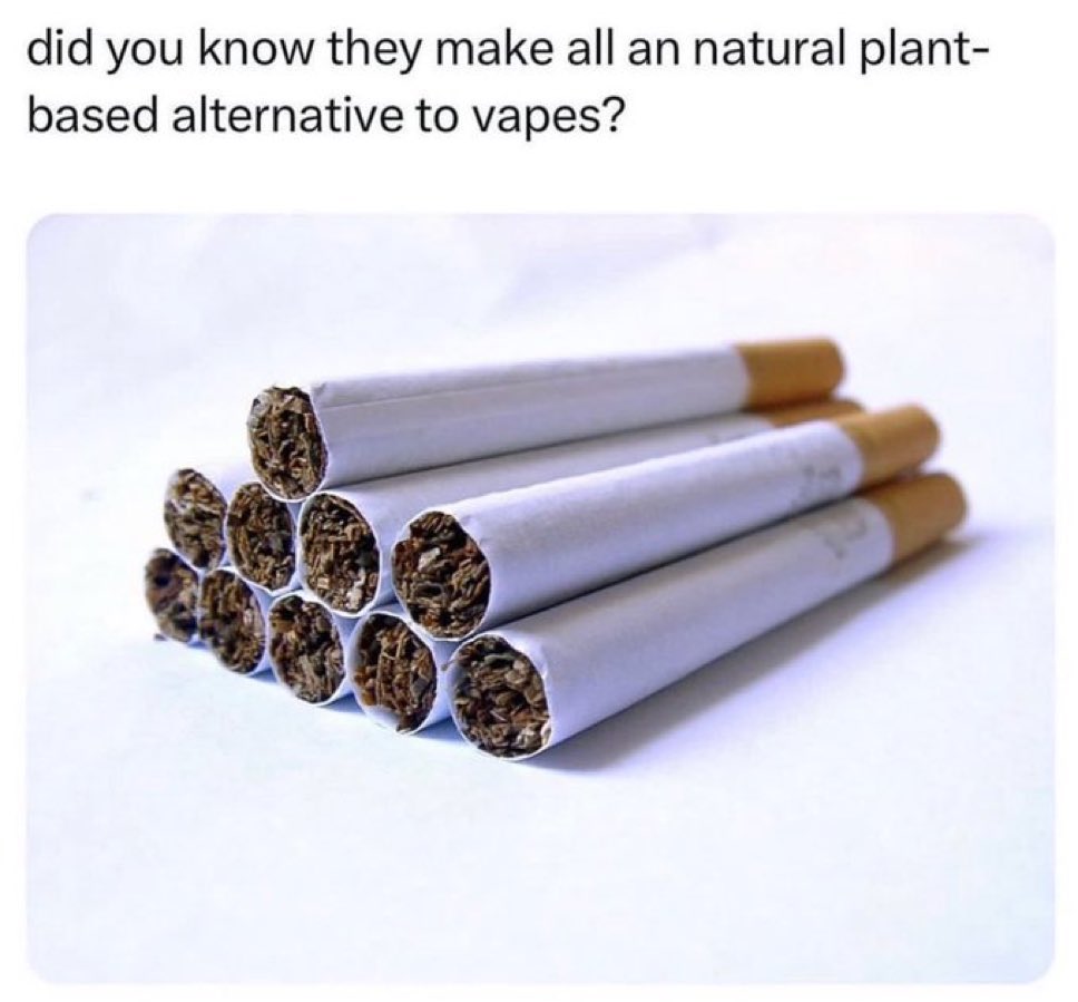 Bad Advice Dog (@badadvicedog) on Twitter photo 