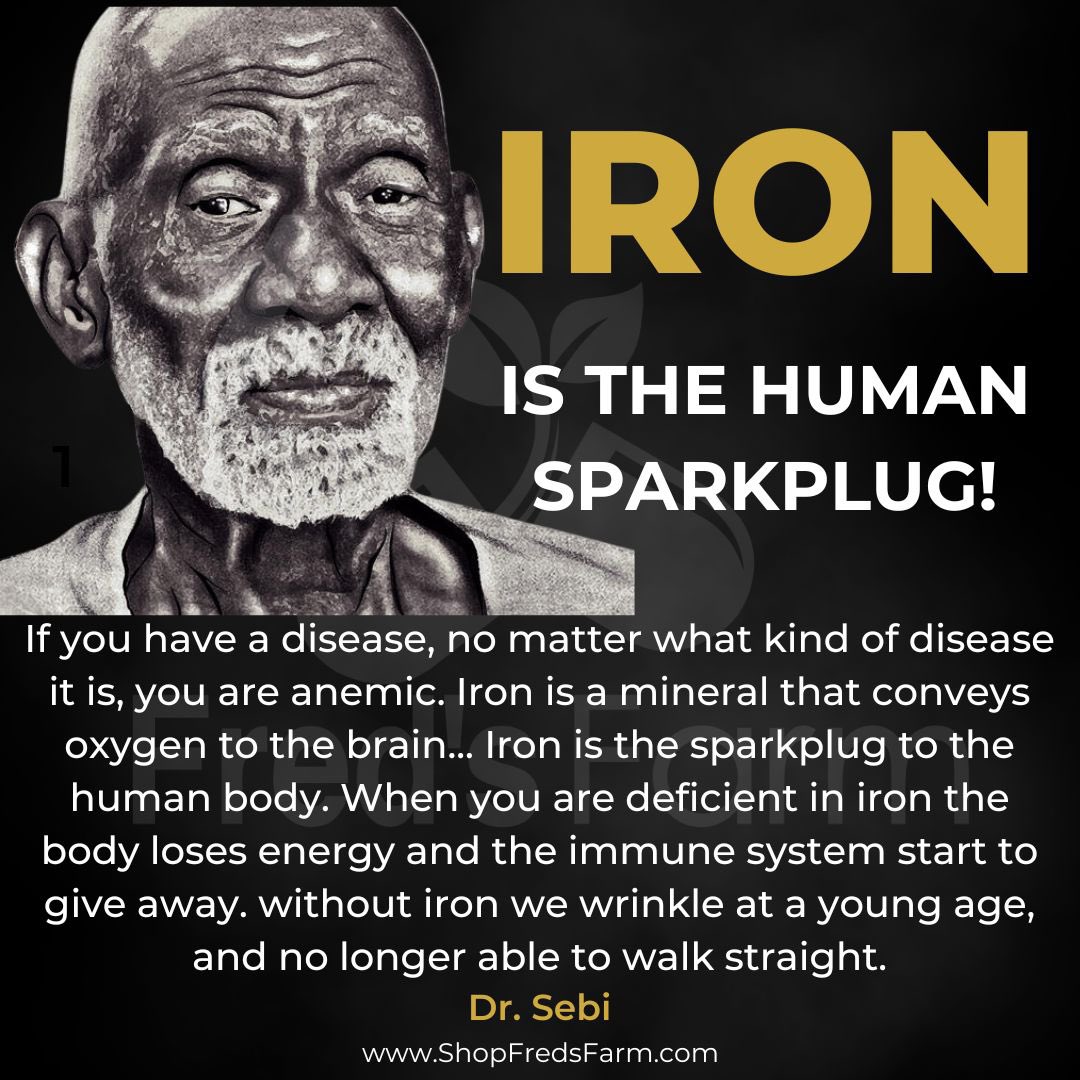 Iron is the human sparkplug👇🏽

Burdock Root: shopfredsfarm.com/product/burdoc…