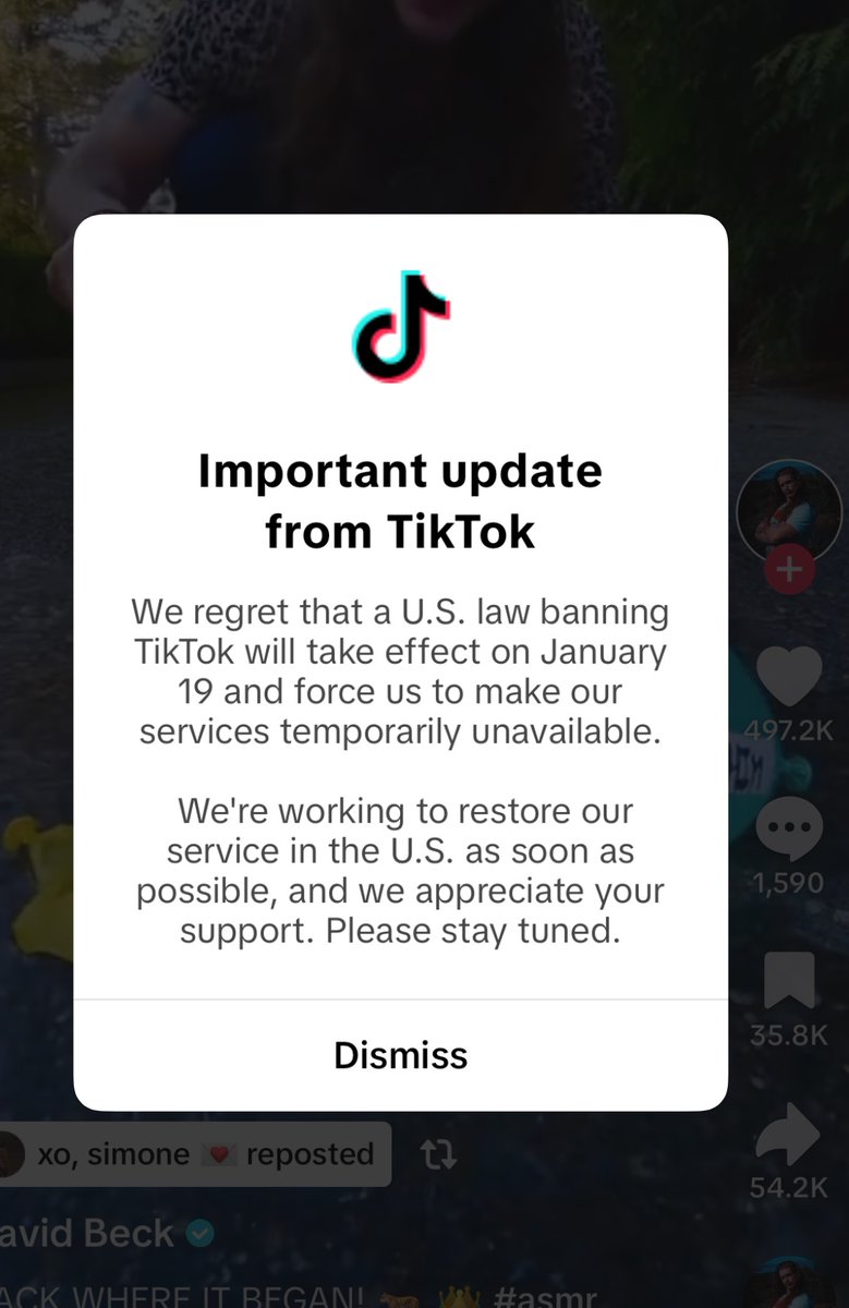 The #tiktok update… this is really tragic let’s hope it is temporary. #tiktokban