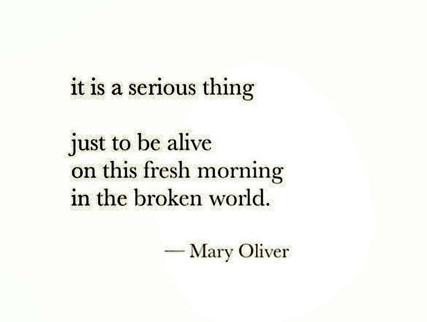 Sunday reminder. 🤍 #smallpoemsunday