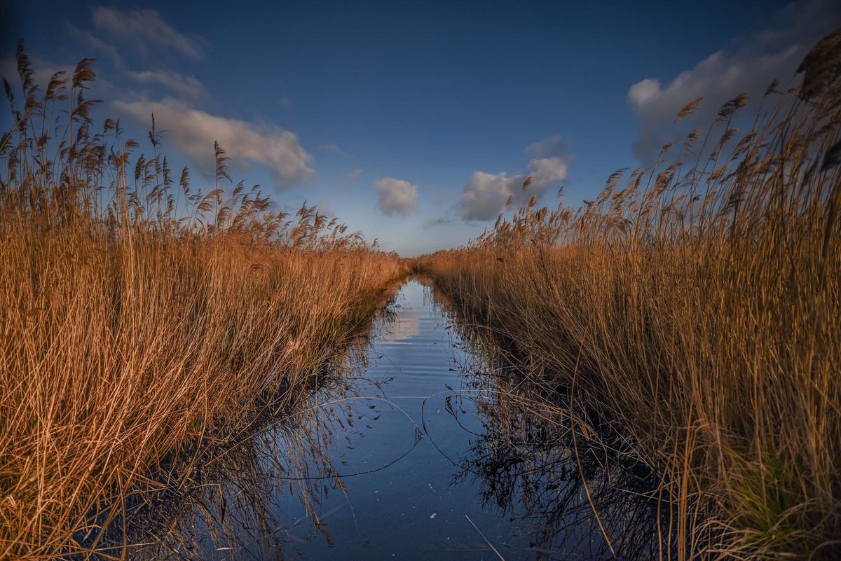 𝑻𝒂𝒓𝒂 𝑲𝒊𝒆𝒌𝒕☕️ tweet media