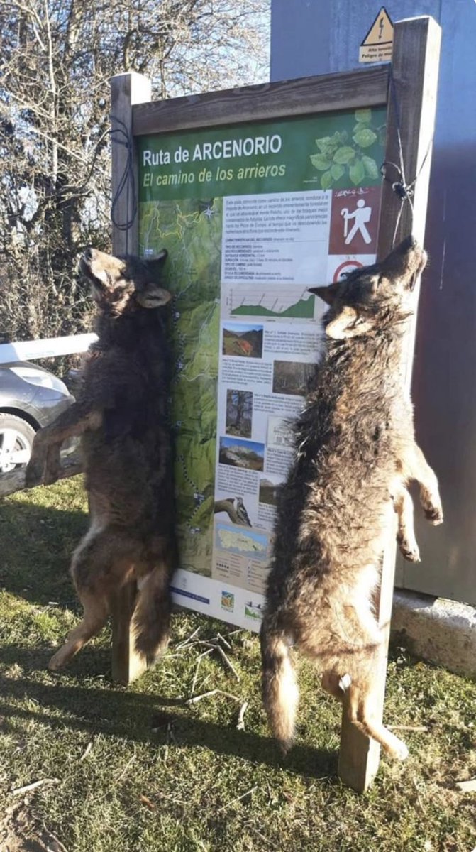 Marta Tafalla tweet media