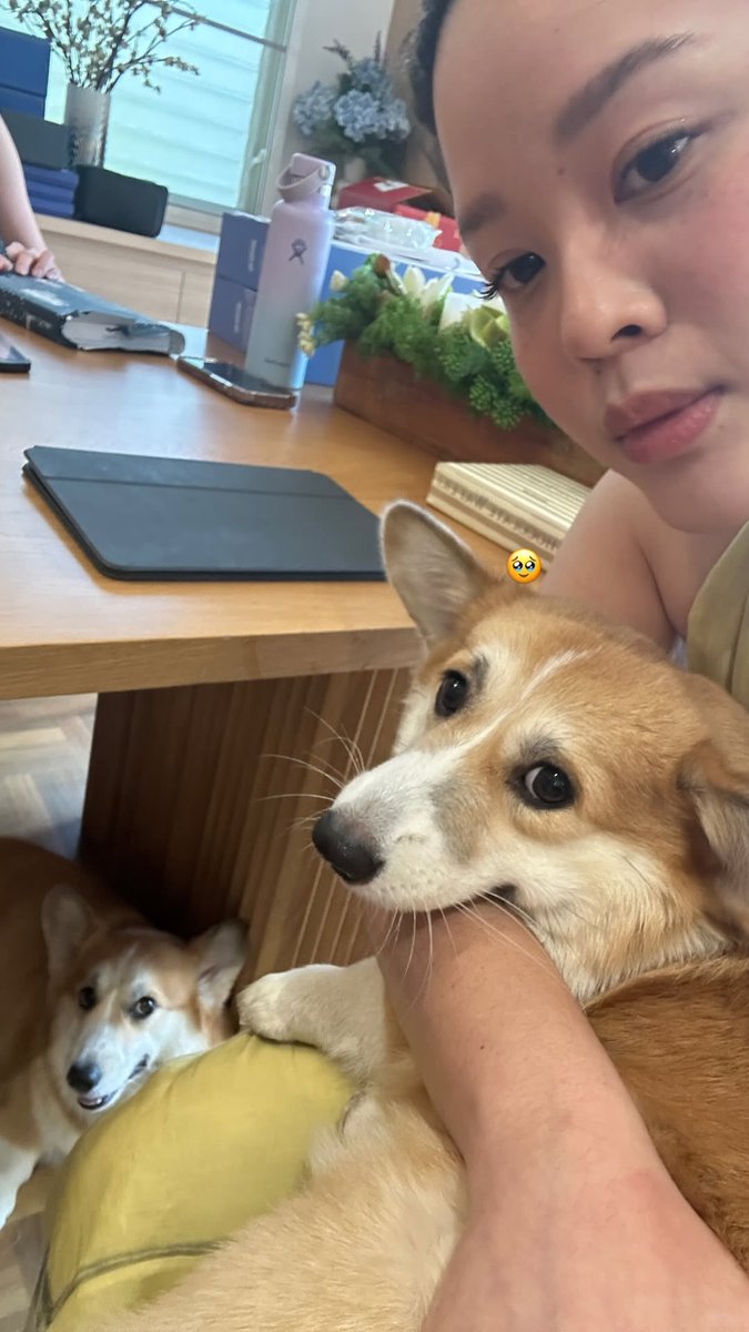 shiori22rir's tweet image. 🥹

#Mushu
@octotul #tul_pakorn #ตุลย์ภากร
cr. aungaungg IGS