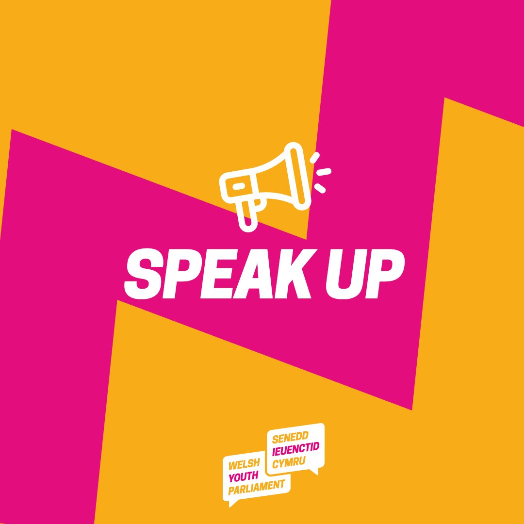 🗣️📣The new Welsh Youth Parliament is just beginning and you can influence what happens.

Have your say today about what your Members should focus on: bit.ly/4dKVoaI