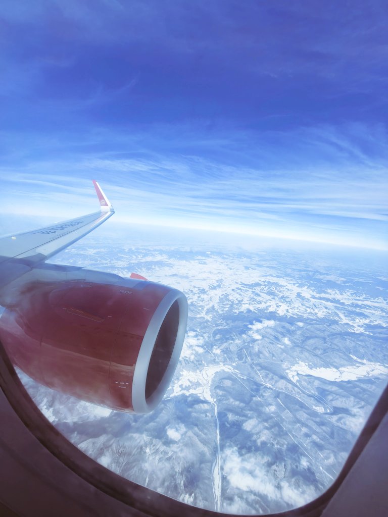 上海狗狗🐶和猫咪🐱 tweet media