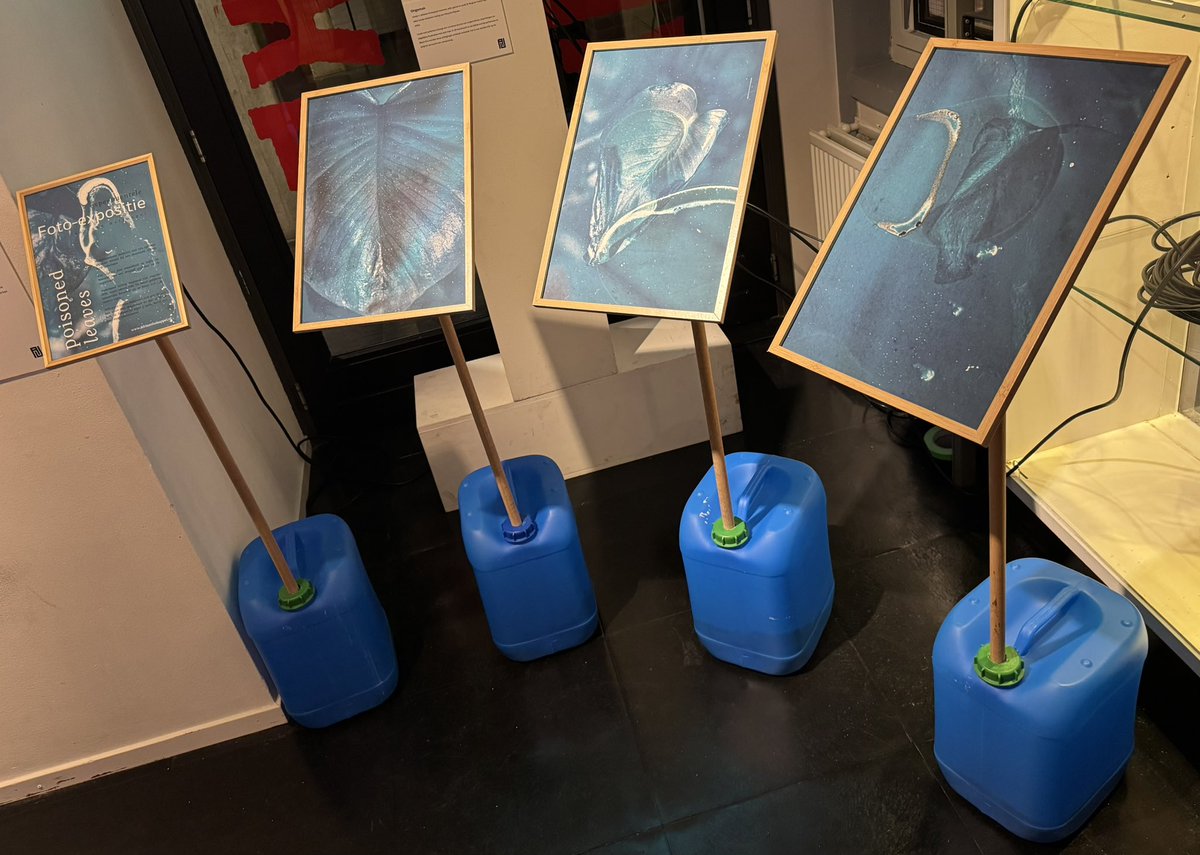 Bas Bloem tweet media