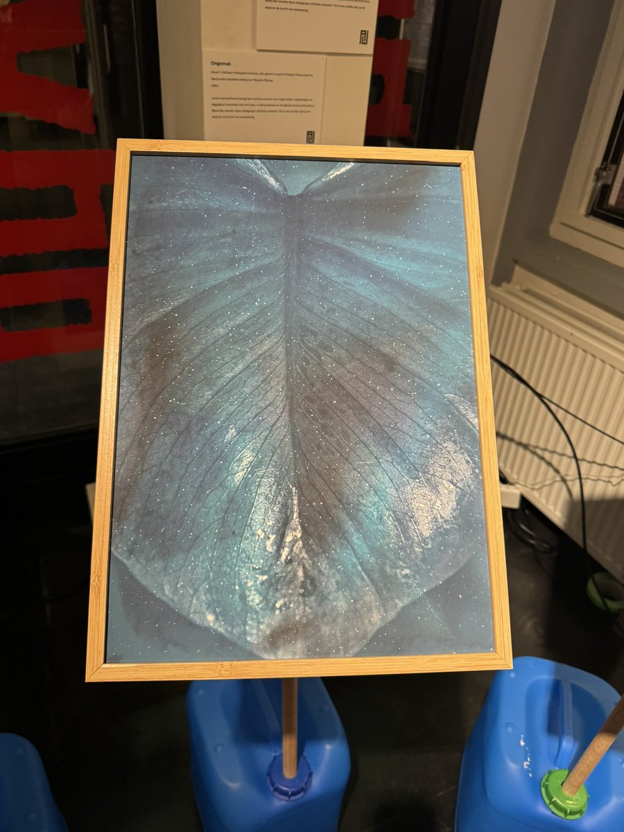 Bas Bloem tweet media