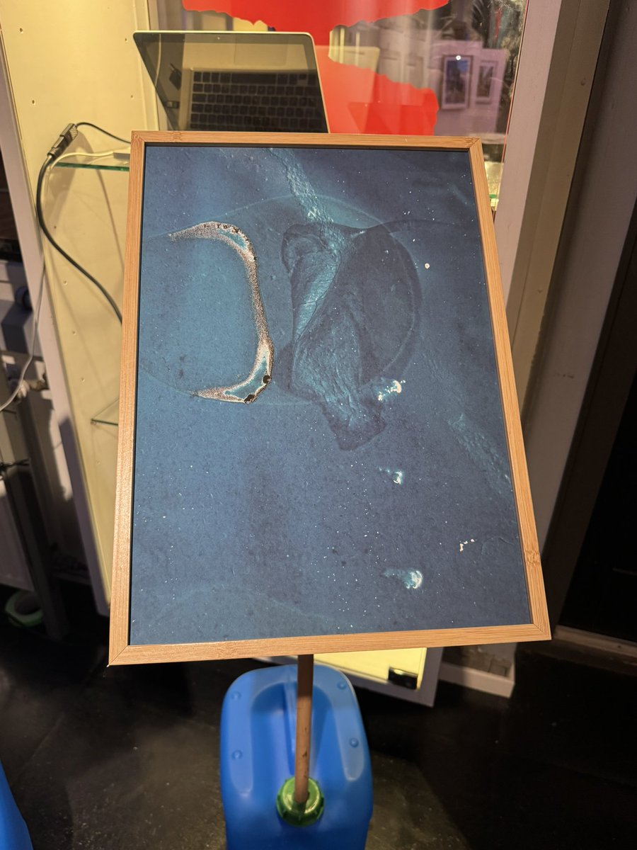 Bas Bloem tweet media