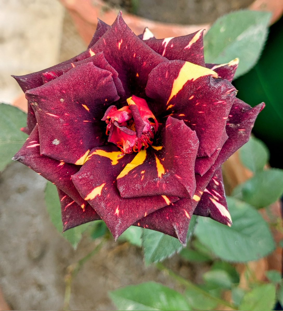 tusharmangl's tweet image. Dreaming of a home that’s affordable, sustainable, and well-connected? Let’s hope the Union Budget 2025-26 makes it a reality! 🏠✨ Share your thoughts—what reforms do you think are critical for real estate this year? 
tusharmangl.com/2025/01/union-…

#UnionBudget2025 #RealEstateReforms