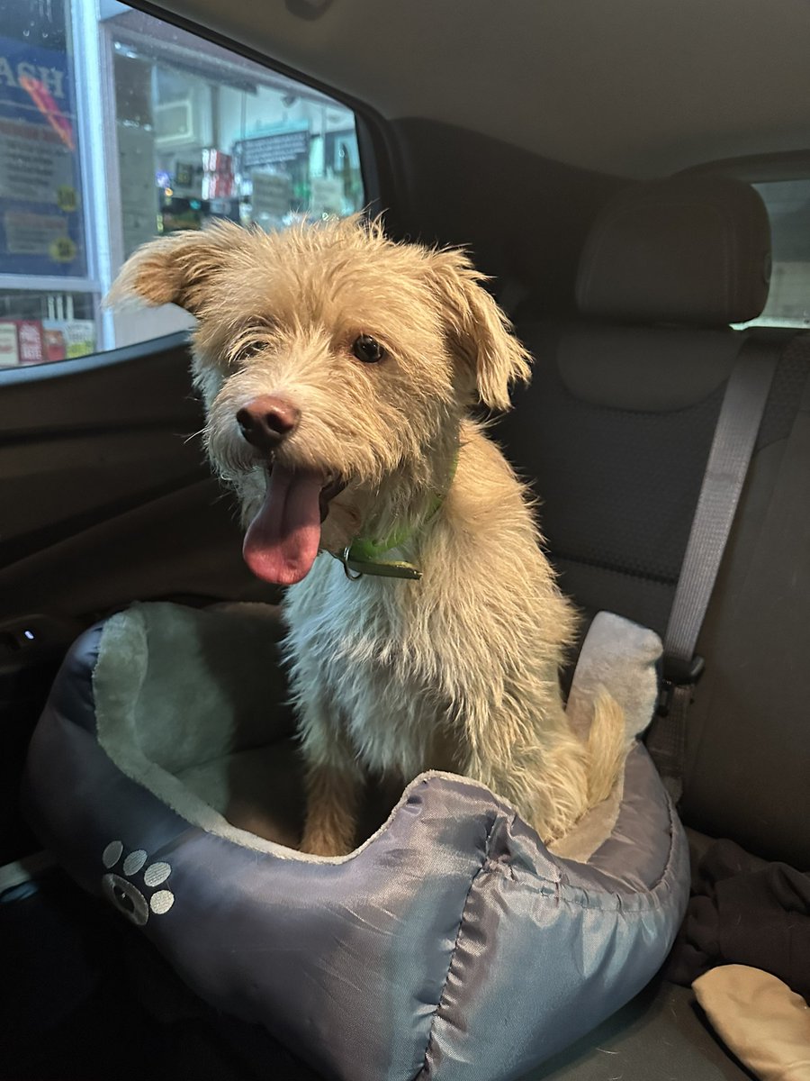 Silas Taylor tweet media