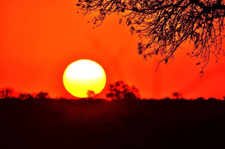 TheMaasaii's tweet image. Enkai naishoyo ntokitin pooki, incho iyiok enolong' 
Entobiraki iyiok 
Ore nena nepir encho eku inkunang'
Entaseriana 
Ilepakinyie Iyiok Ilntiil Leseriani.
Tangoroi iyiok.
Ore elepu, elepakinyie iyiok emeloni we ropili🤩🤩