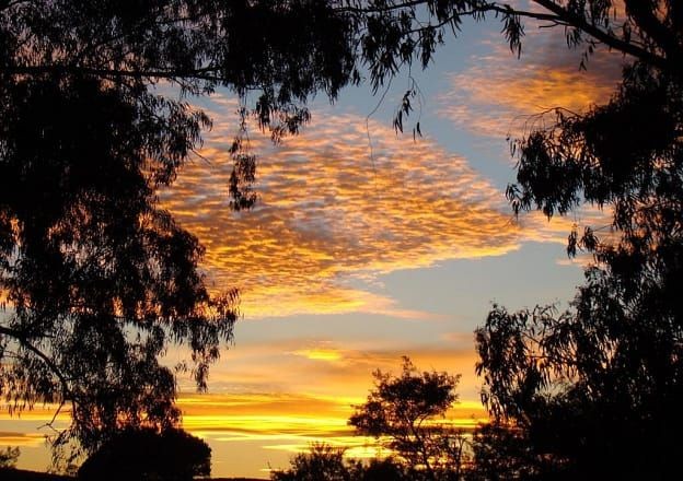 TheMaasaii's tweet image. Enkai naishoyo ntokitin pooki, incho iyiok enolong' 
Entobiraki iyiok 
Ore nena nepir encho eku inkunang'
Entaseriana 
Ilepakinyie Iyiok Ilntiil Leseriani.
Tangoroi iyiok.
Ore elepu, elepakinyie iyiok emeloni we ropili🤩🤩