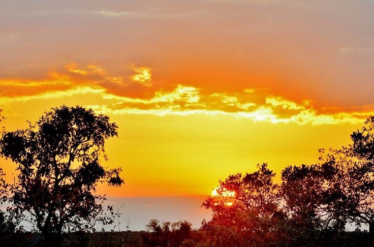 TheMaasaii's tweet image. Enkai naishoyo ntokitin pooki, incho iyiok enolong' 
Entobiraki iyiok 
Ore nena nepir encho eku inkunang'
Entaseriana 
Ilepakinyie Iyiok Ilntiil Leseriani.
Tangoroi iyiok.
Ore elepu, elepakinyie iyiok emeloni we ropili🤩🤩