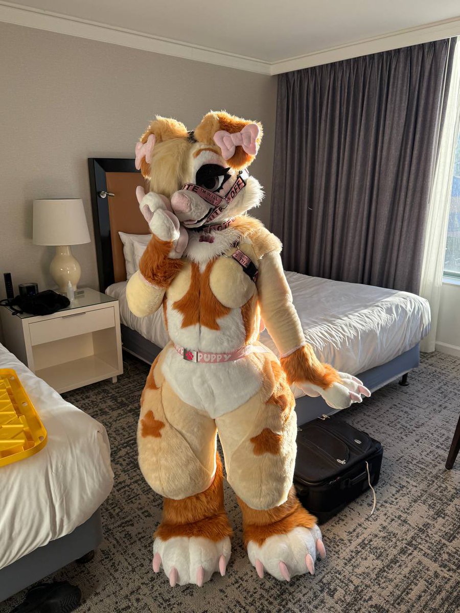 My first ever finished fullsuit

(Hands <a href="/fawxstar/">Website launch Jan 2026!🐾☕️✨</a> Feet,Tail <a href="/mikathemano/">Mikathemano 🔜?</a> ) the rest by me!!