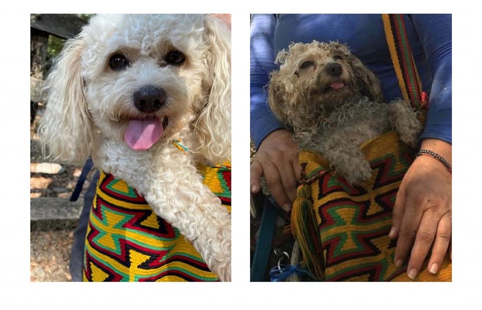 “Este va a ser   |   A mediados 
mi año”                      de enero