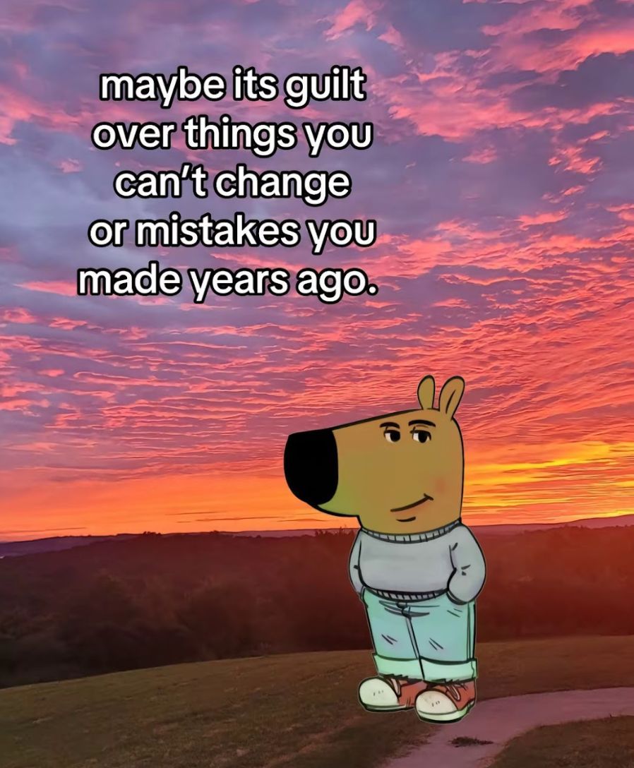 chill guy | fan page tweet media