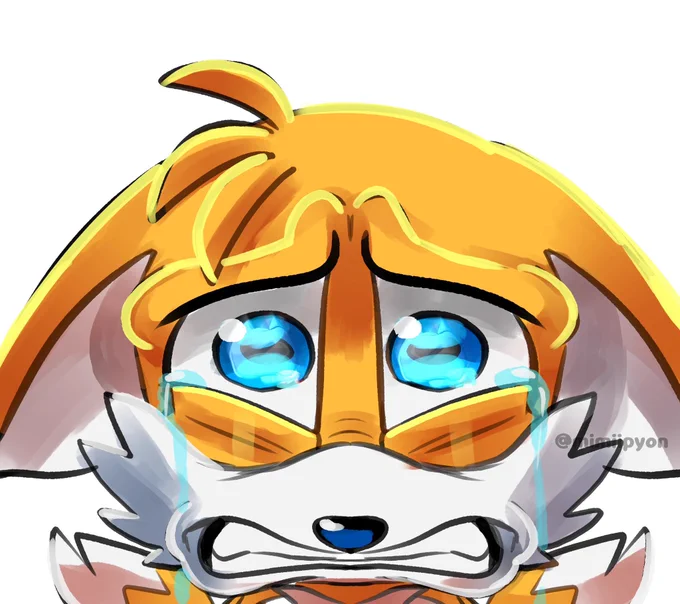 TIKTOK DIED ON MY BIRTHDAY 