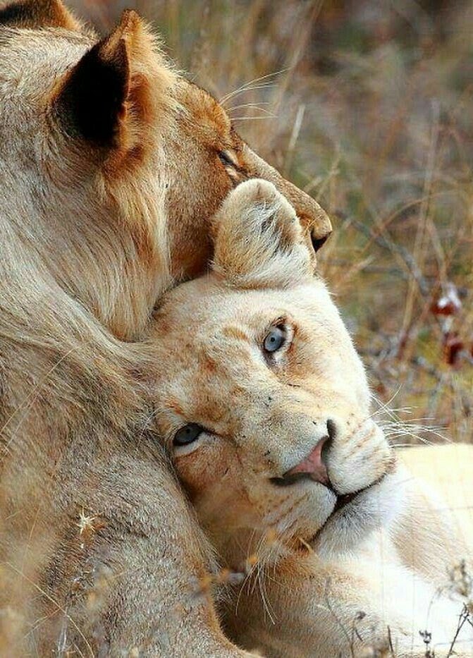 BegoodCarolyn's tweet image. MATTHEW 7:14 “But the gateway to life is very narrow and the road is difficult, and only a few ever find it.” 🐸👍👍🙏🌹🇺🇸🦅🌎💙💙💙🕊️❤️‍🔥☀️ #TickTock #LetsStartAgain 😉💙💙💙🕊️🌹💛🌟💐🐝🌼