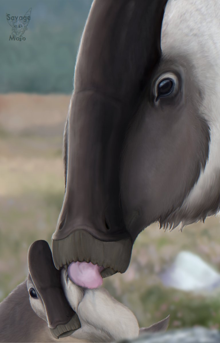 New painting practice of a Parasaurolophus mother and her ''calf'' .
