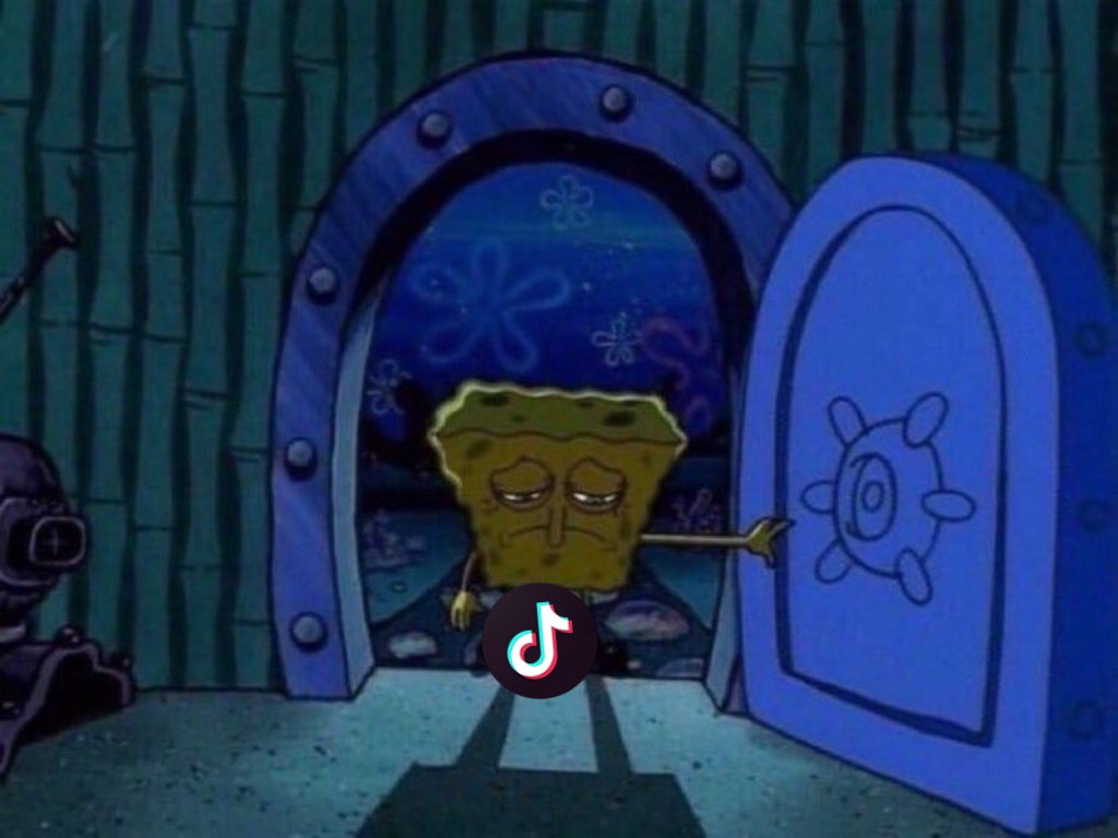 Every TikToker rn…. 💔