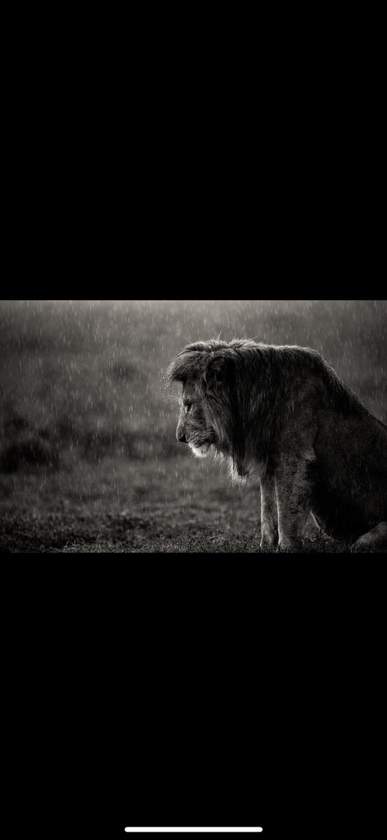 Riley Orlando (@_orlando_21) on Twitter photo 