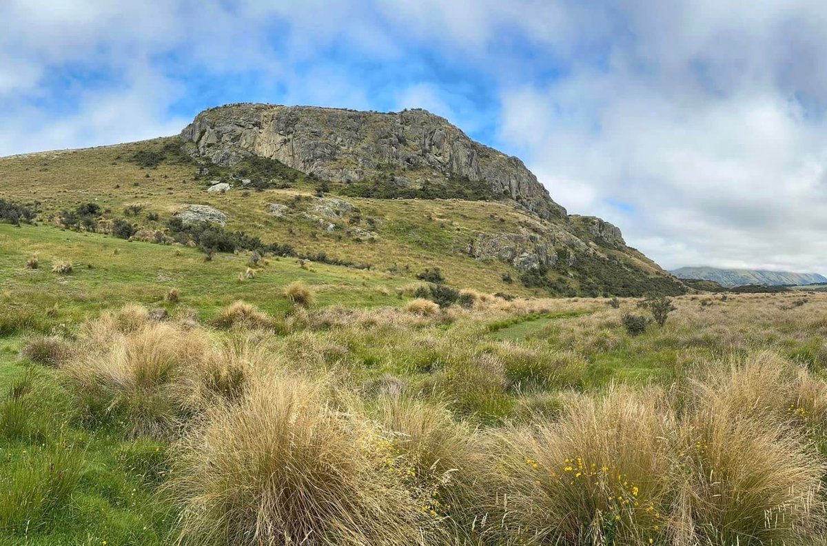 RedCarpetTourNZ's tweet photo. Surrounded by sweeping valleys, snow-capped peaks, and the wild beauty of Middle-earth, our January fellowship followed in the footsteps of Aragorn, Legolas, Gimli and Gandalf and climbed the majestic Edoras! 🐎
#redcarpettoursnz #Edoras #MiddleEarth #LordoftheRingstours https://t.co/v7UxXubXJ5