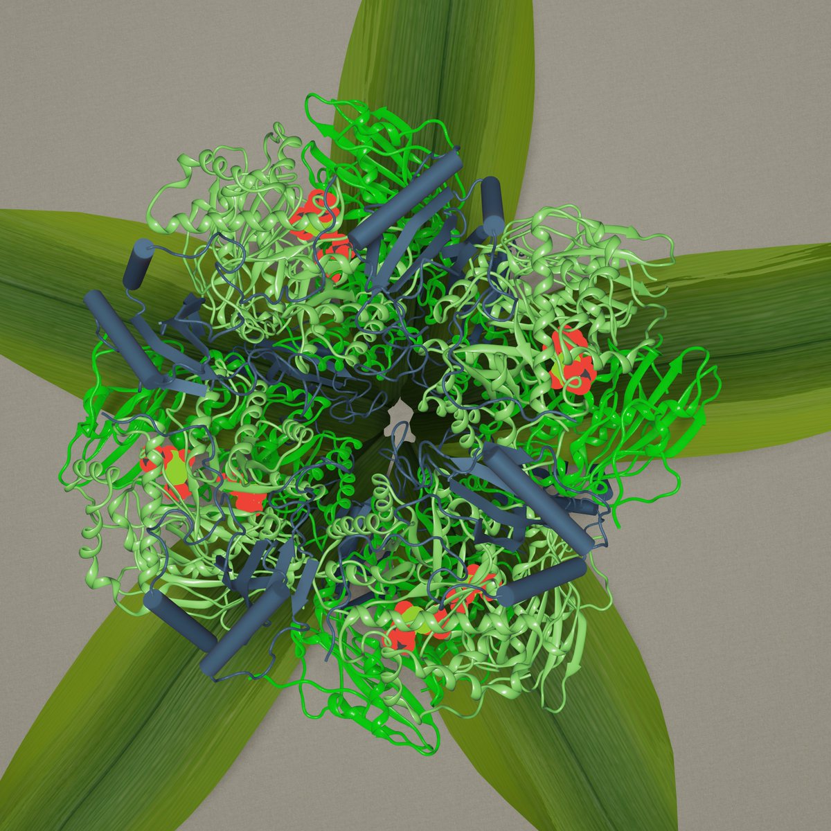 yogesh_jsharma's tweet photo. RUBISCO: the holy grail of protein engineering in plants. #sciart #scifi #plants #proteinstickers #sciencestickers https://t.co/31lArRCjSw