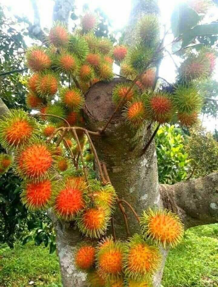 සමහර අයට අපි කොයි තරම් වෙනස් කම් කලත් එයාල අවසාන මොහොතෙත් අපි වෙනුවෙන් ඉන්නවා අපි වෙනුවෙන් හැකි උපරිමෙන් දෙවල් කරනවා  🩷
තෙතමනයක් ඇති හැගිම් , දැනිම් ඇති හදවත් සැම විටම ආදරණියයි 
#amdesilva #quote #Srilanka