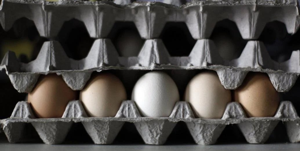 Eggs in B.C., Ont., Man., recalled over salmonella concerns thecanadianpressnews.ca/health/eggs-in…

Get weekly updates: CanadaHealthwatch.ca/newsletter 🍁