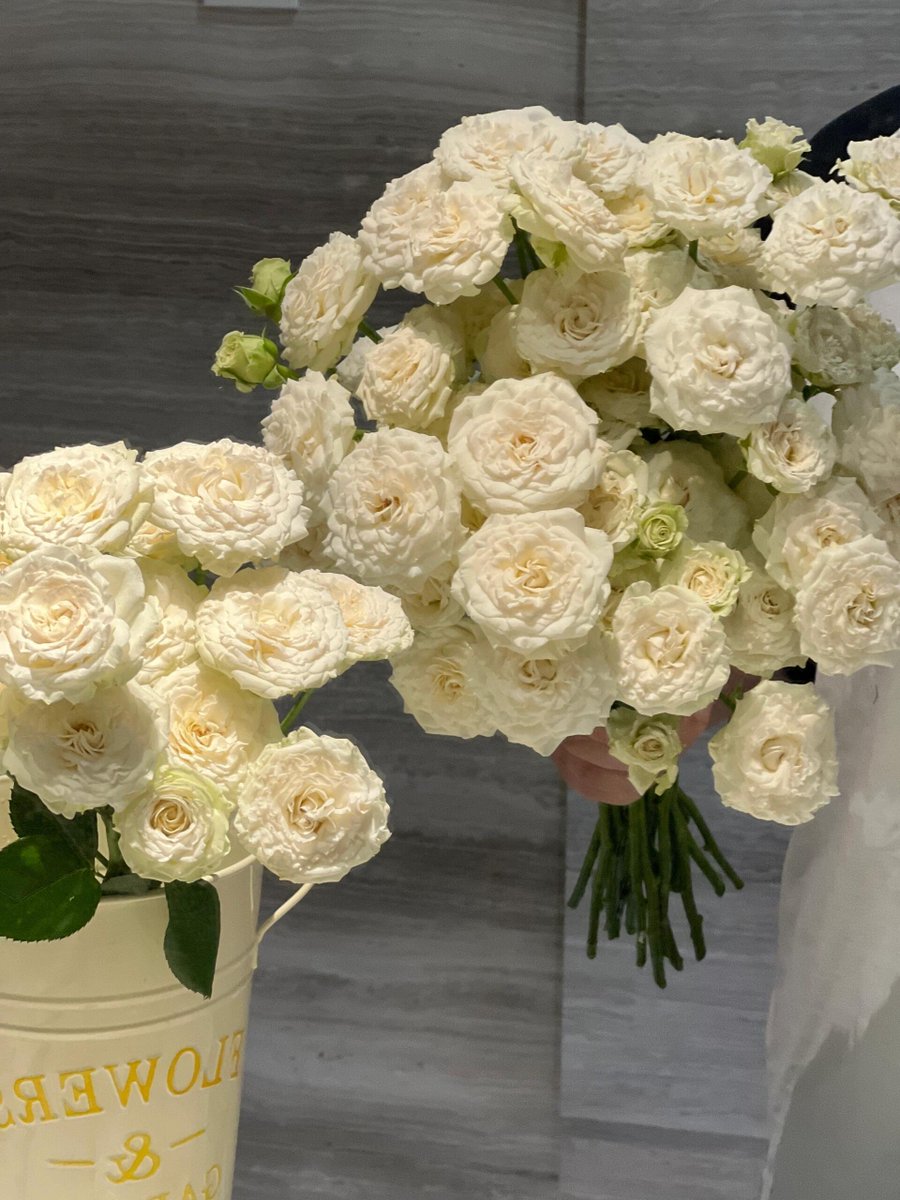 장미는 시들어도 사랑은 결코 죽지 않는다🥰