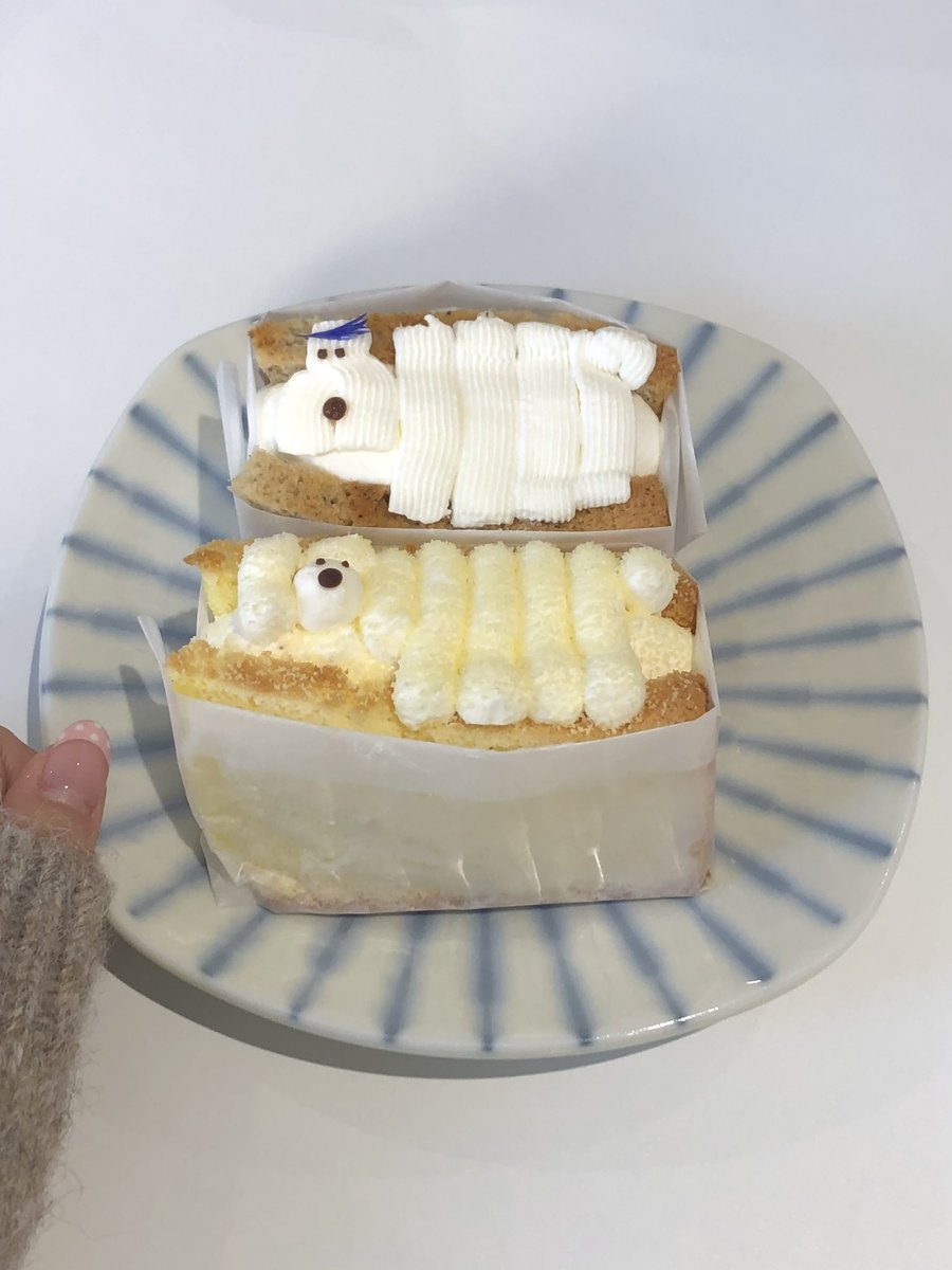 puddiddding's tweet photo. 따뜻한 밀가루의 도시
대전 1박 타래 ✧ ⋆｡˚〜🍰 https://t.co/wzT7Kms7E2
