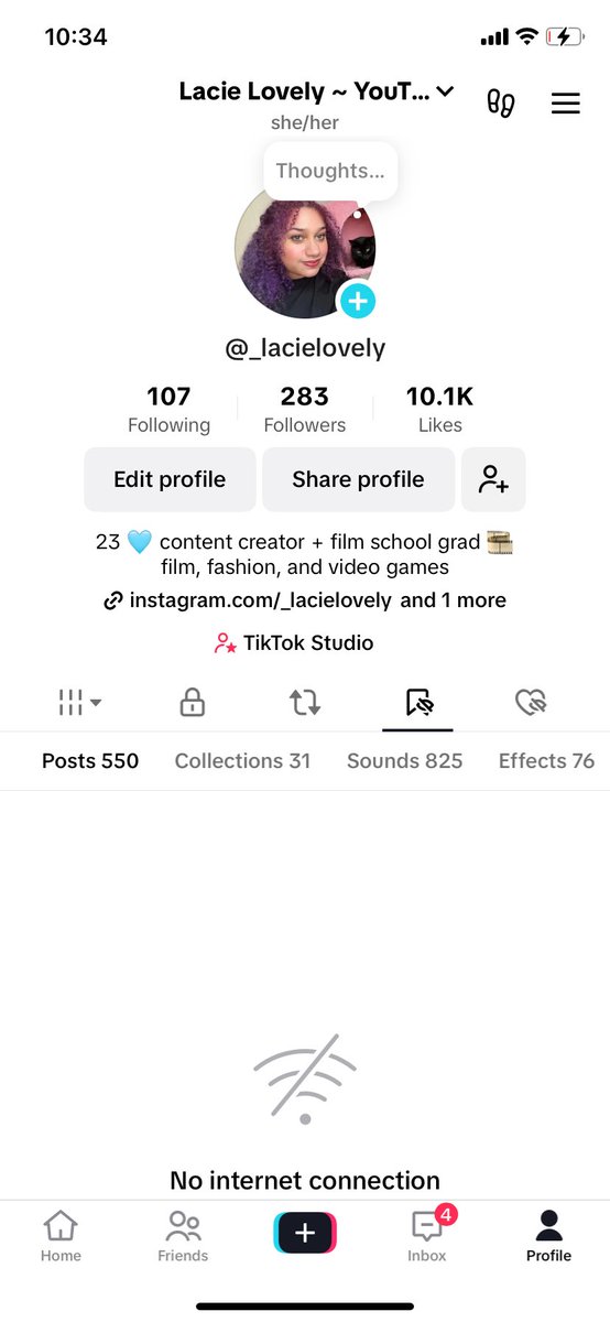 TikTok has been banned in the United States; the servers are no longer available. Note the "No Internet Connection" at the bottom, with 3 bars at the top right.