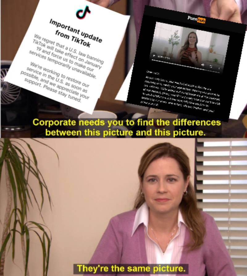 Gavin Sheehan tweet media