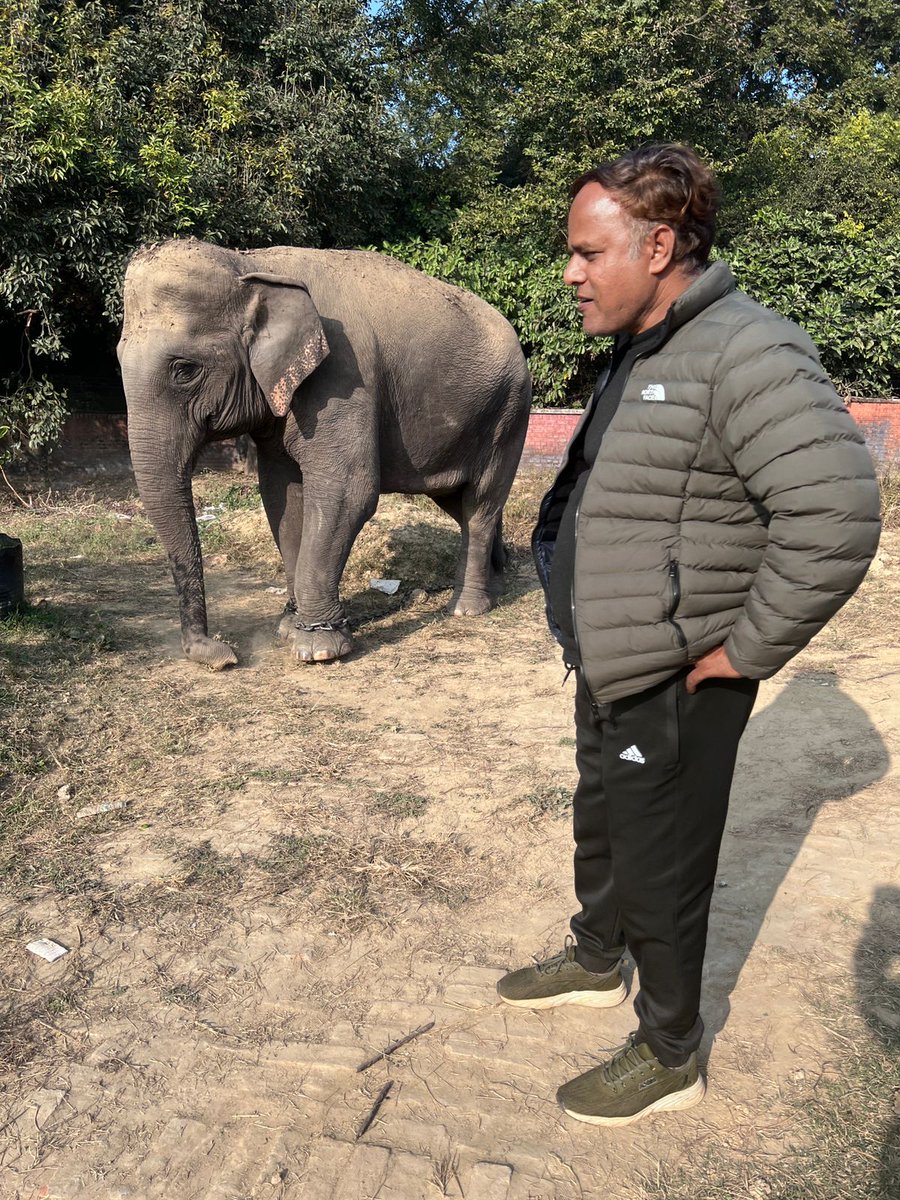 AlokPandeyUP72's tweet photo. Nature is better than everything. 
@ParveenKaswan do you suggest anything about rehmankheda tiger rescue ops.
#eleph
#rehmankheda
#lucknow
#tigerrescue https://t.co/m9WwtXJOI4