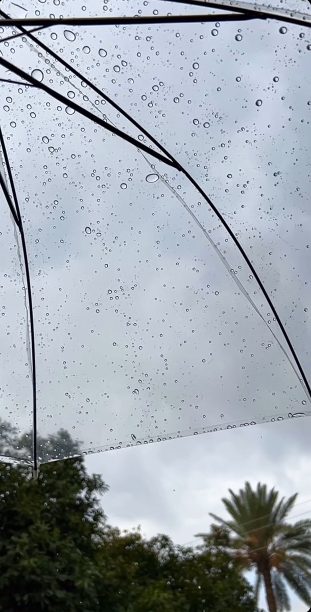 اللهٌم أرني عجائب قدرتك في تيسير 
ما تمنيت وسخر لي 
من حظوظ الدنيا أجملها 💛.
#Viola_Wrd 
#صباح_الخير 
#صباح_الاجواء_الحلوه 
#صباح_الخير_والسعاده